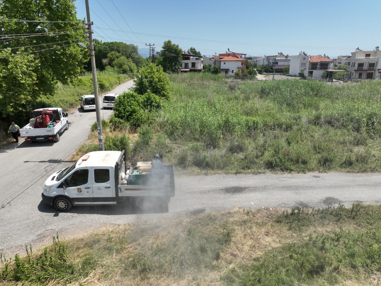 Sivrisinek, unutulan bir bardak suda bile üreyebiliyor
