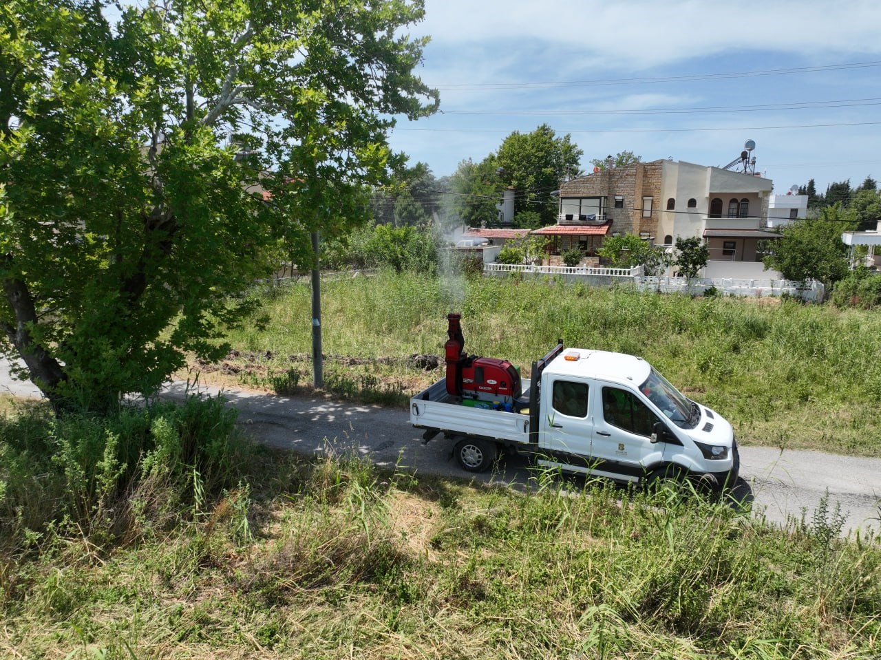 Sivrisinek, unutulan bir bardak suda bile üreyebiliyor
