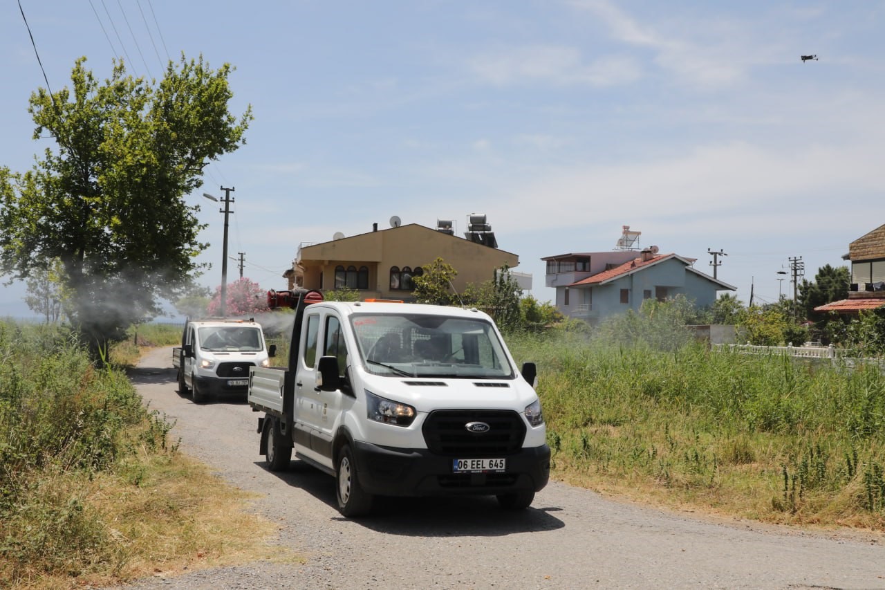 Sivrisinek, unutulan bir bardak suda bile üreyebiliyor
