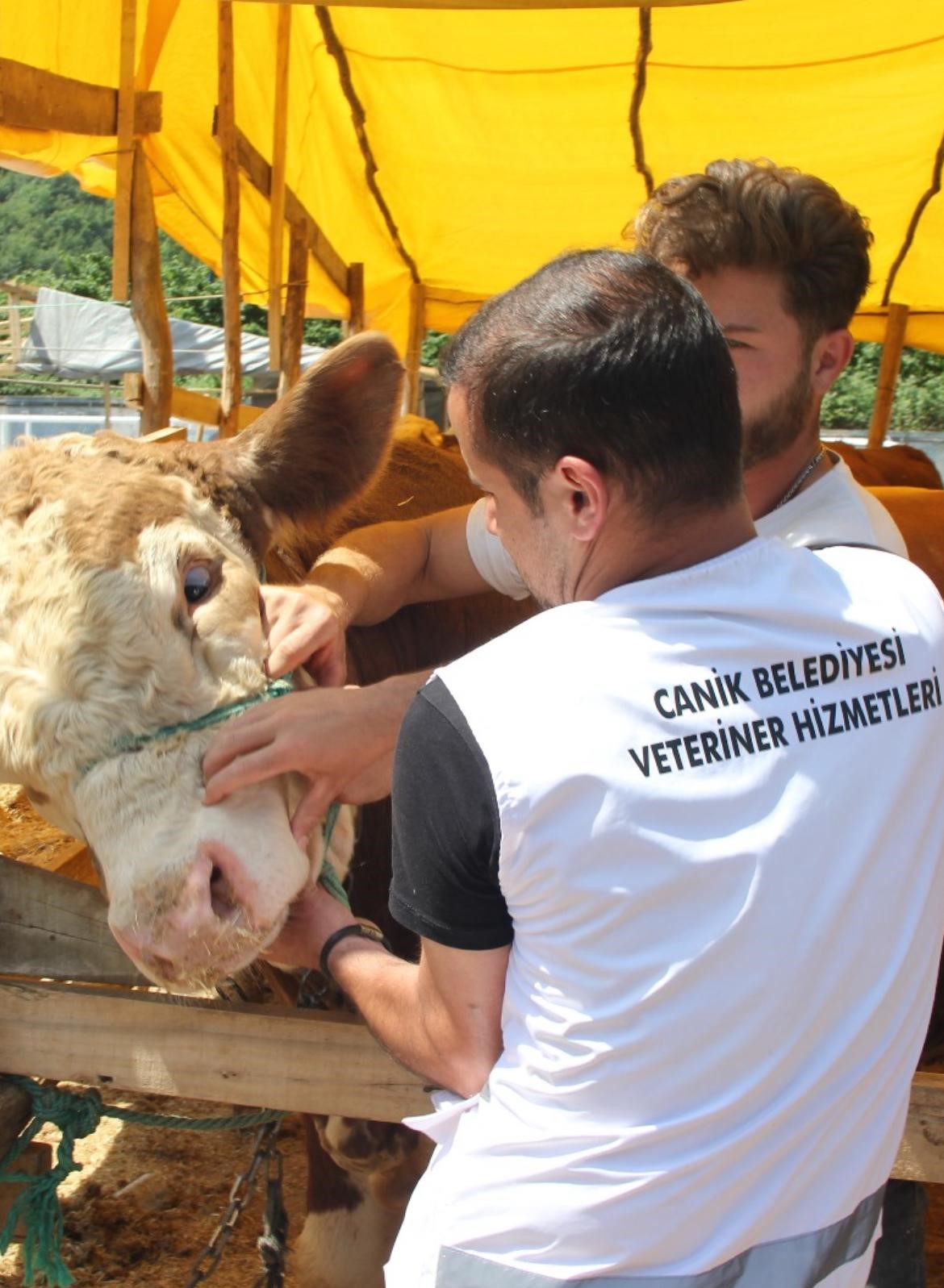 Kurban pazarında veteriner gözetiminde satış
