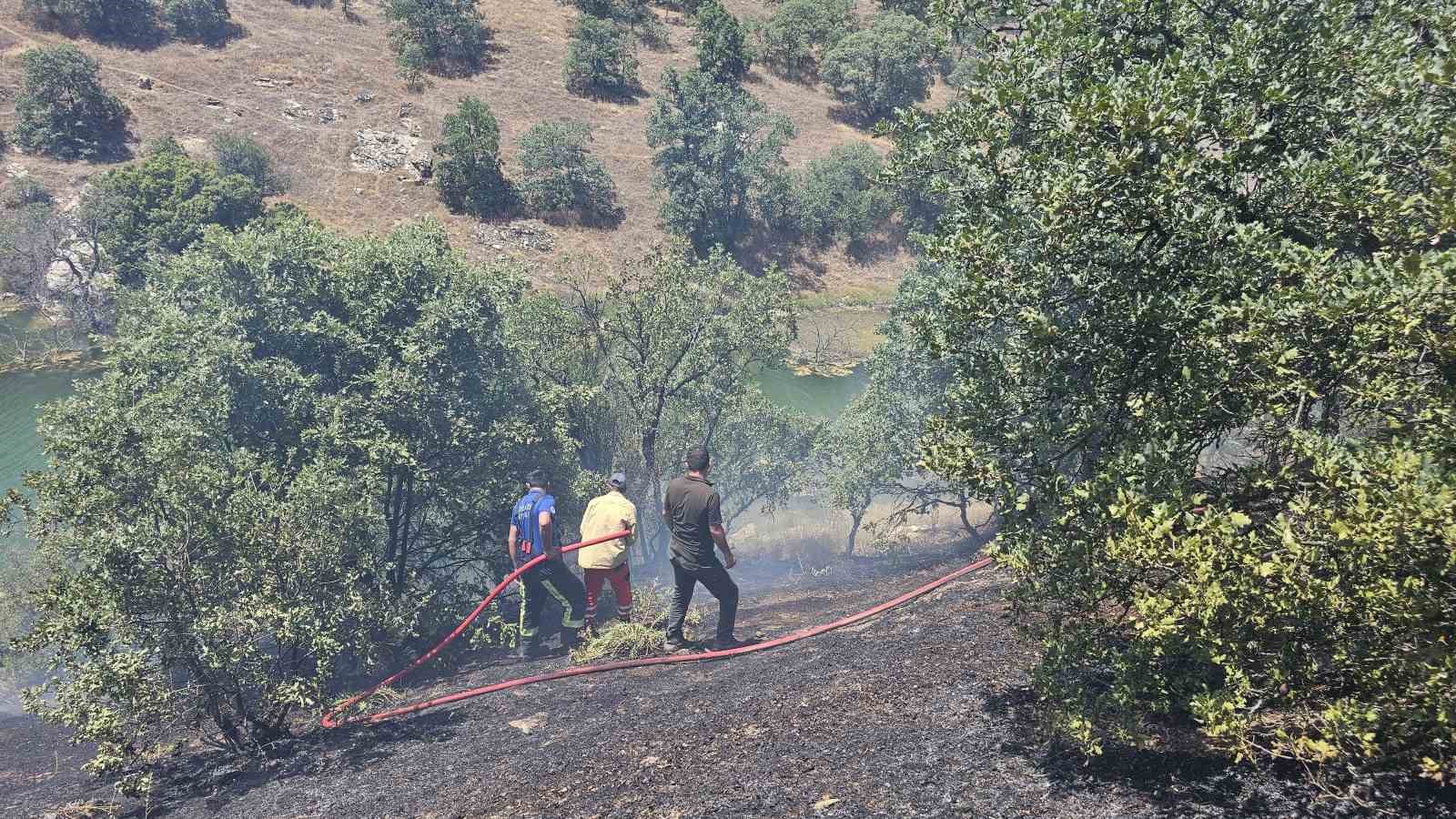 Güney’de orman yangını
