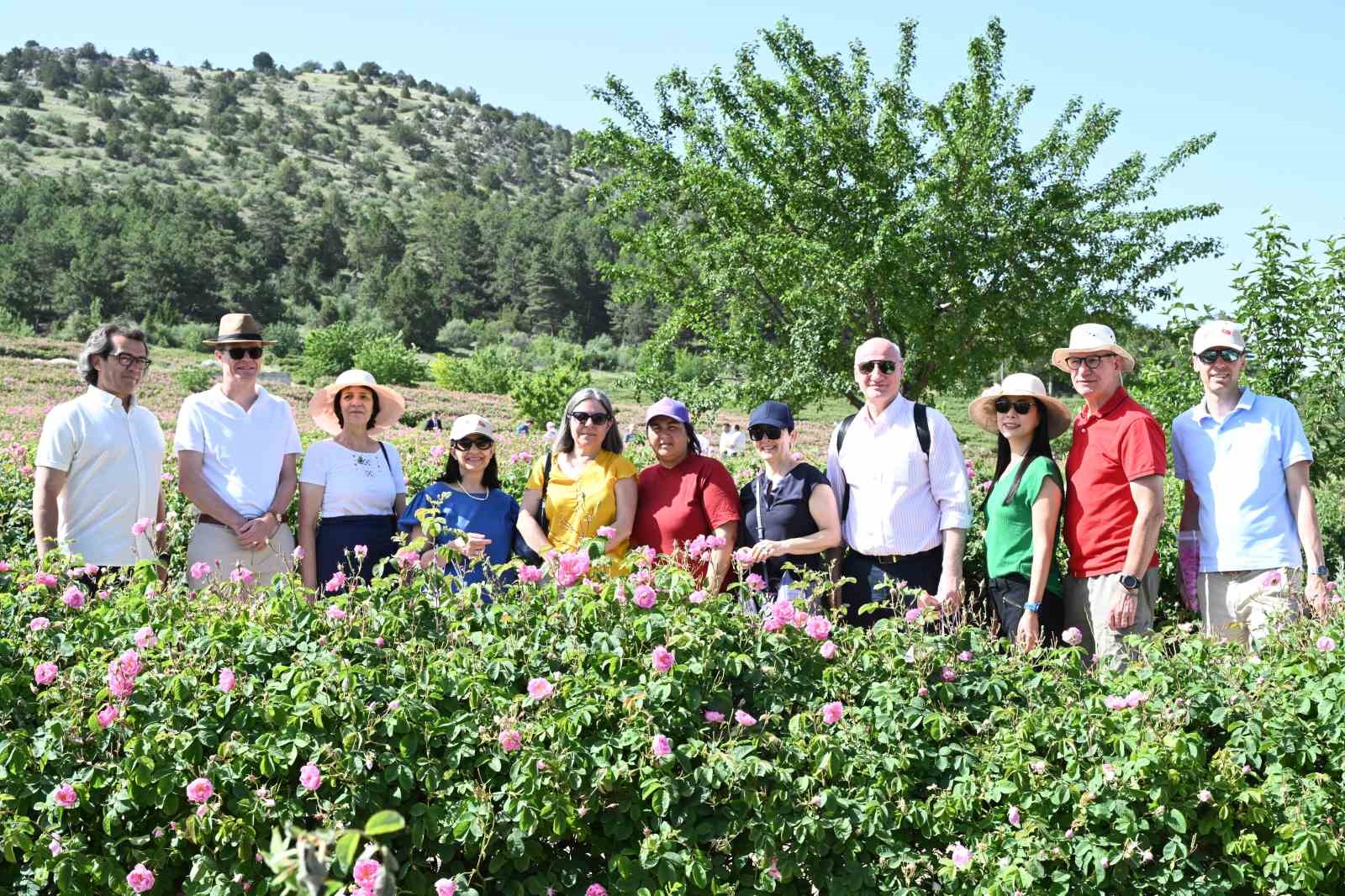 Büyükelçiler Isparta’da gülün yolculuğuna tanıklık etti
