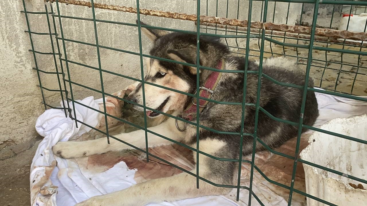 Isparta’da yürekleri ısıtan görüntü
