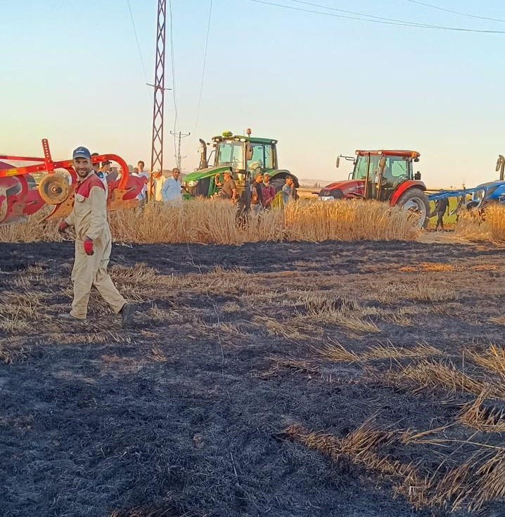 Mardin’deki yangınlarda bin 700 dönümün üzerinde buğday tarlası küle döndü
