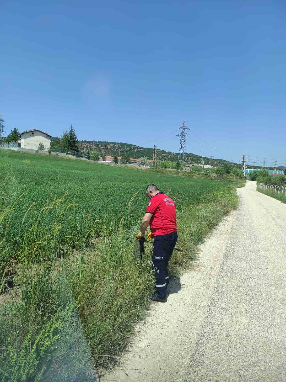 Bozüyük Belediyesi İtfaiyesi’nden yılan operasyonları
