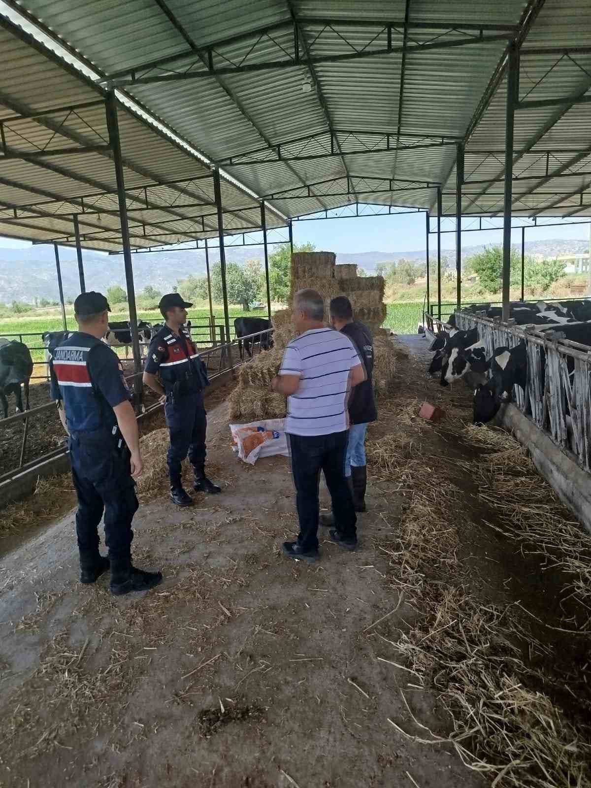 Çiftlik sahipleri saman yangınlarına karşı uyarıldı
