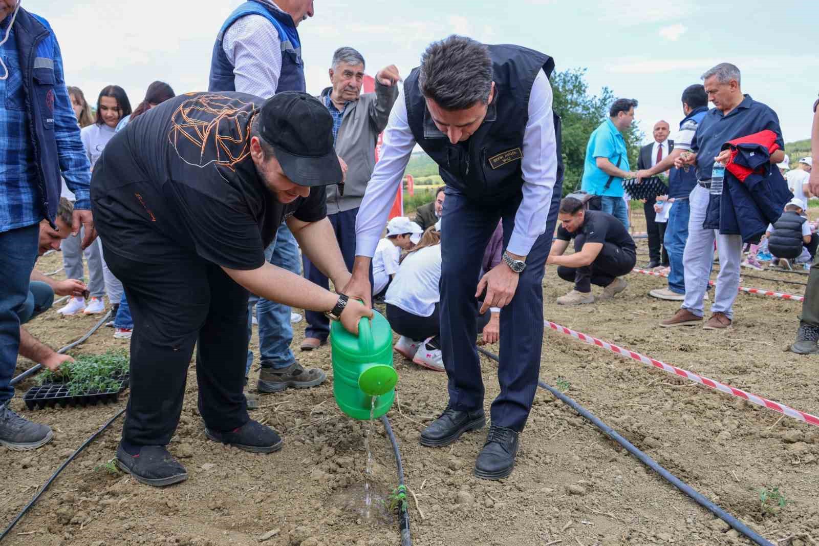 Fide dikim programında tüm engelleri kaldırdı
