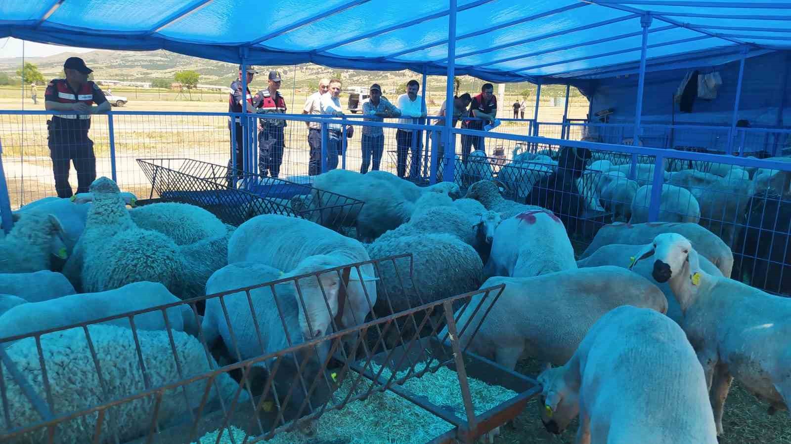 Kurban Satış Pazarında denetim ve kontroller
