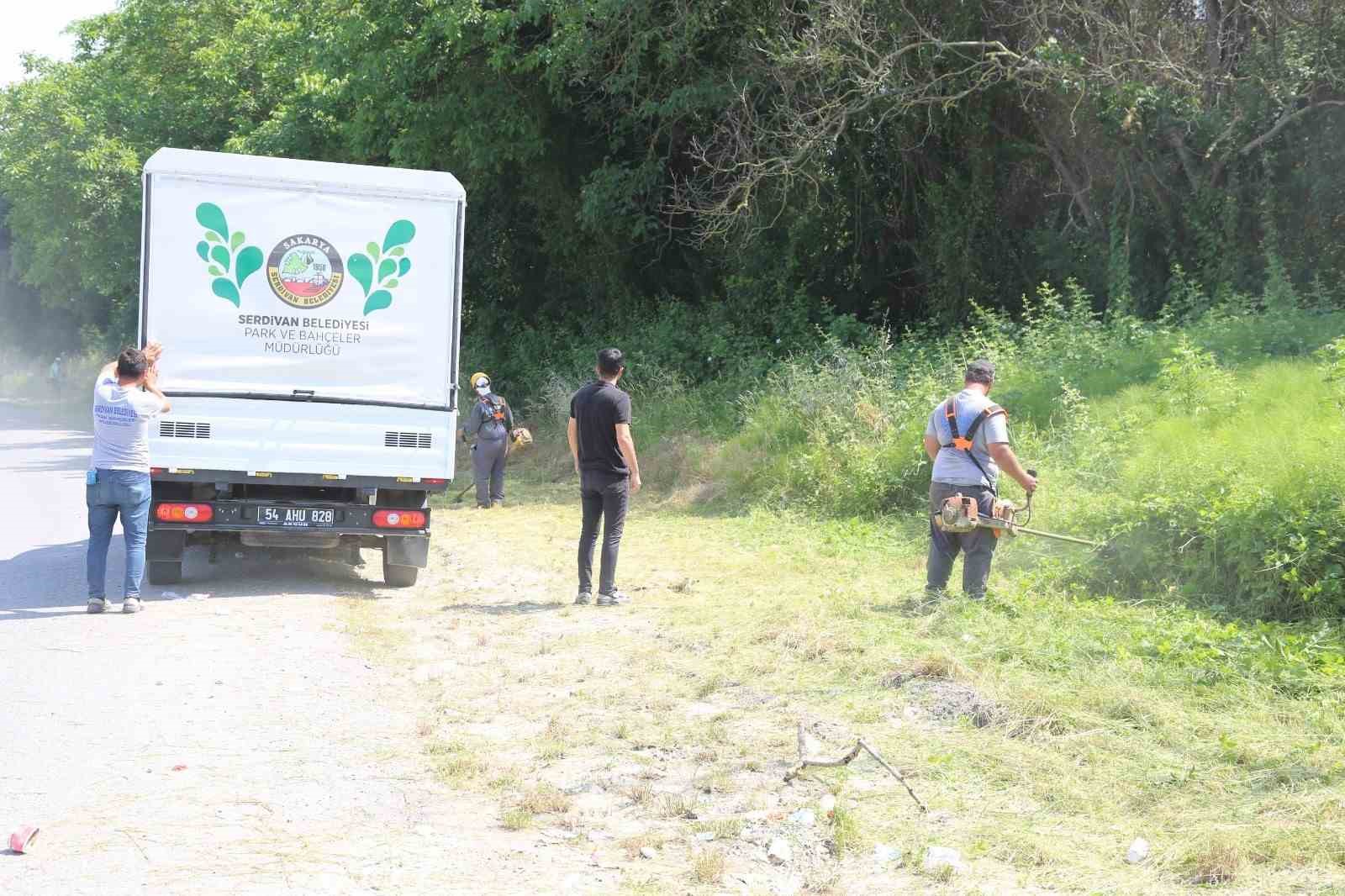 Serdivan’da sokakları yabani otlardan arındırılıyor
