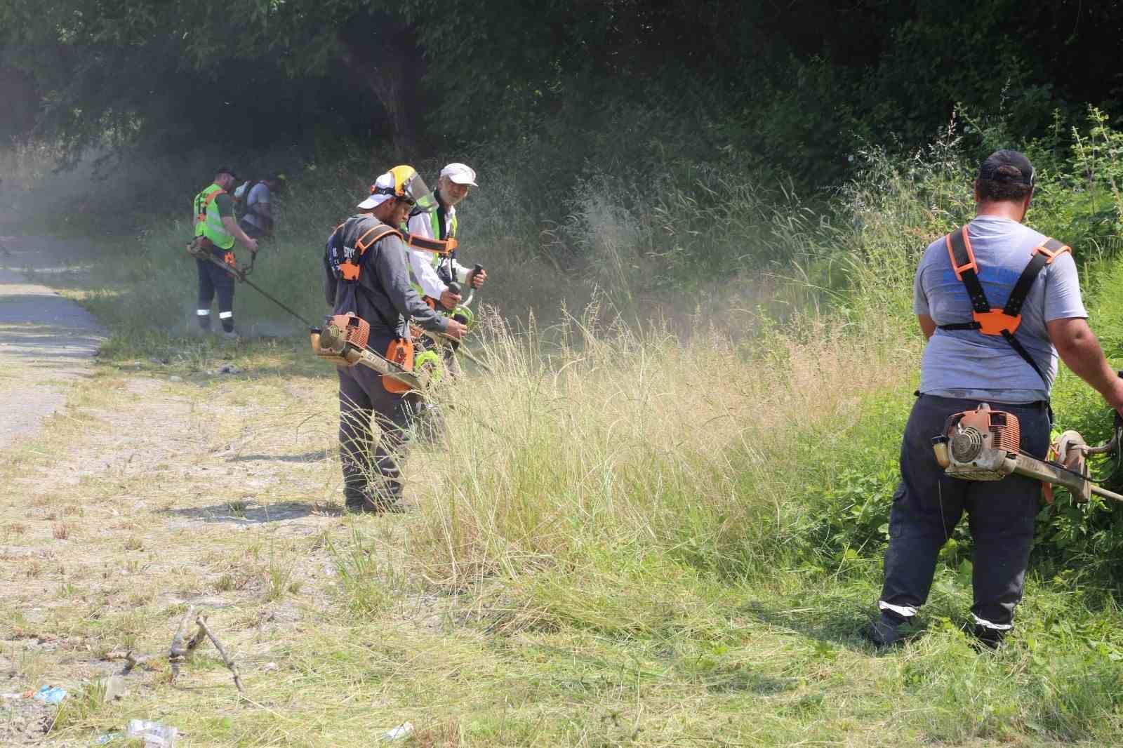 Serdivan’da sokakları yabani otlardan arındırılıyor
