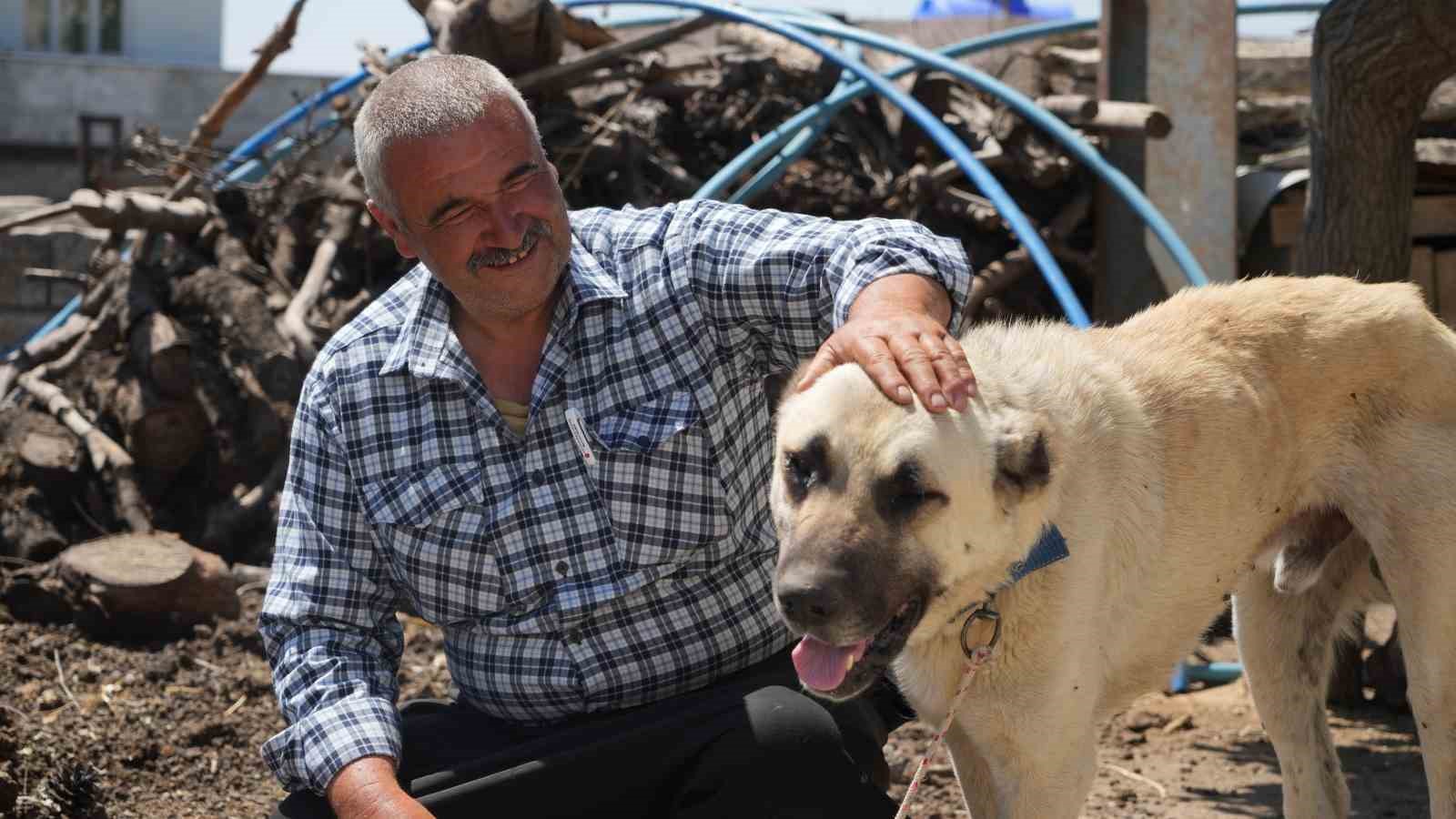 Şahinbey Belediyesi köpeklere sahip çıkıyor
