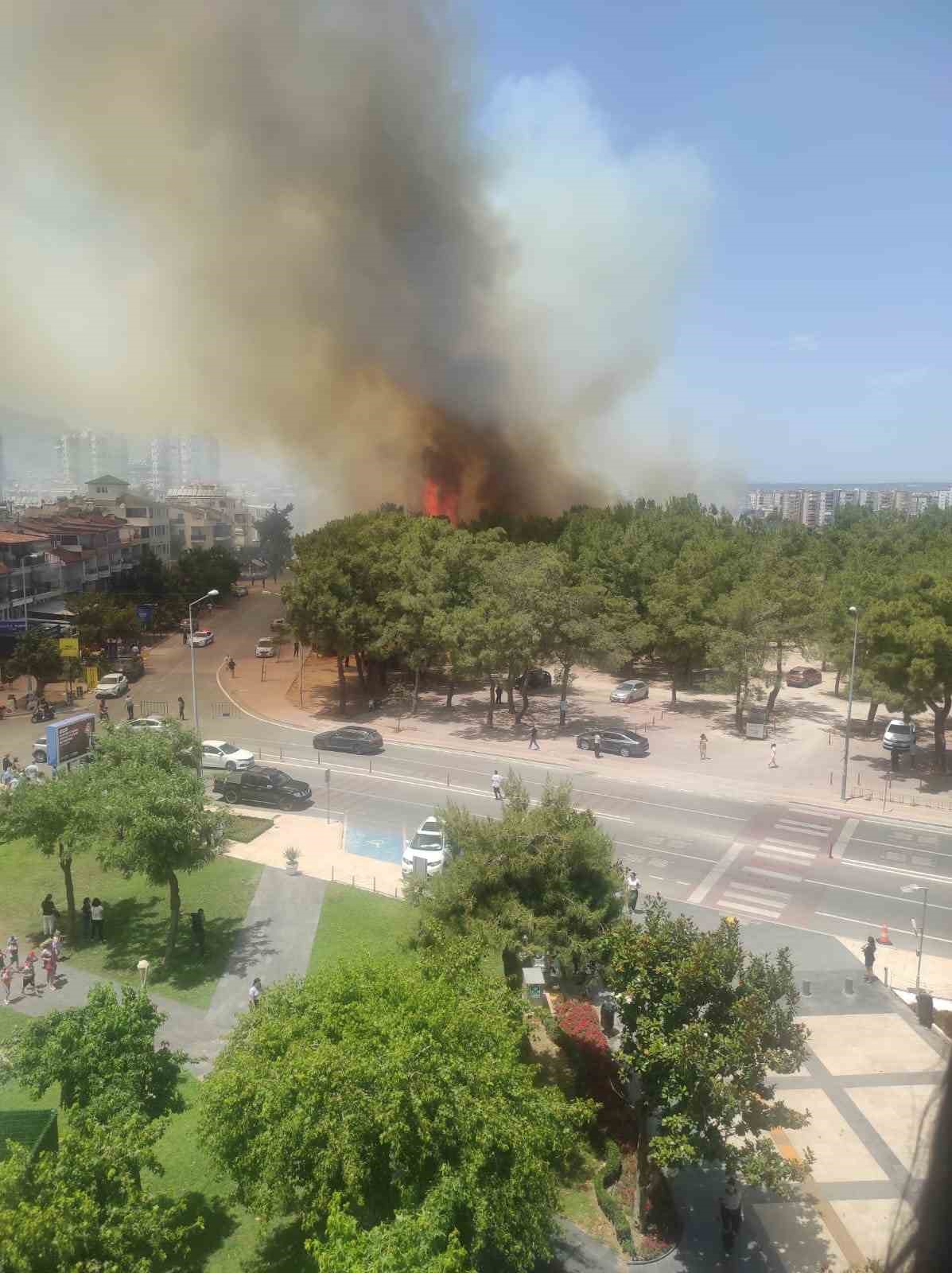 Konyaaltı Sahili’ne 300 metre yakınlıkta yerleşim alanlarını tehdit eden yangın korkuttu
