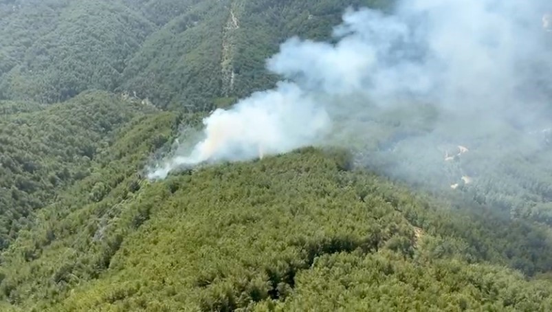 Antalya’da orman yangını
