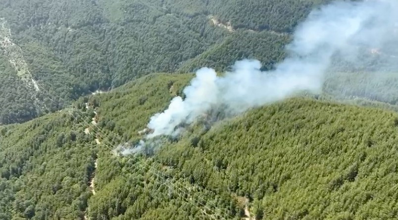 Antalya’da orman yangını
