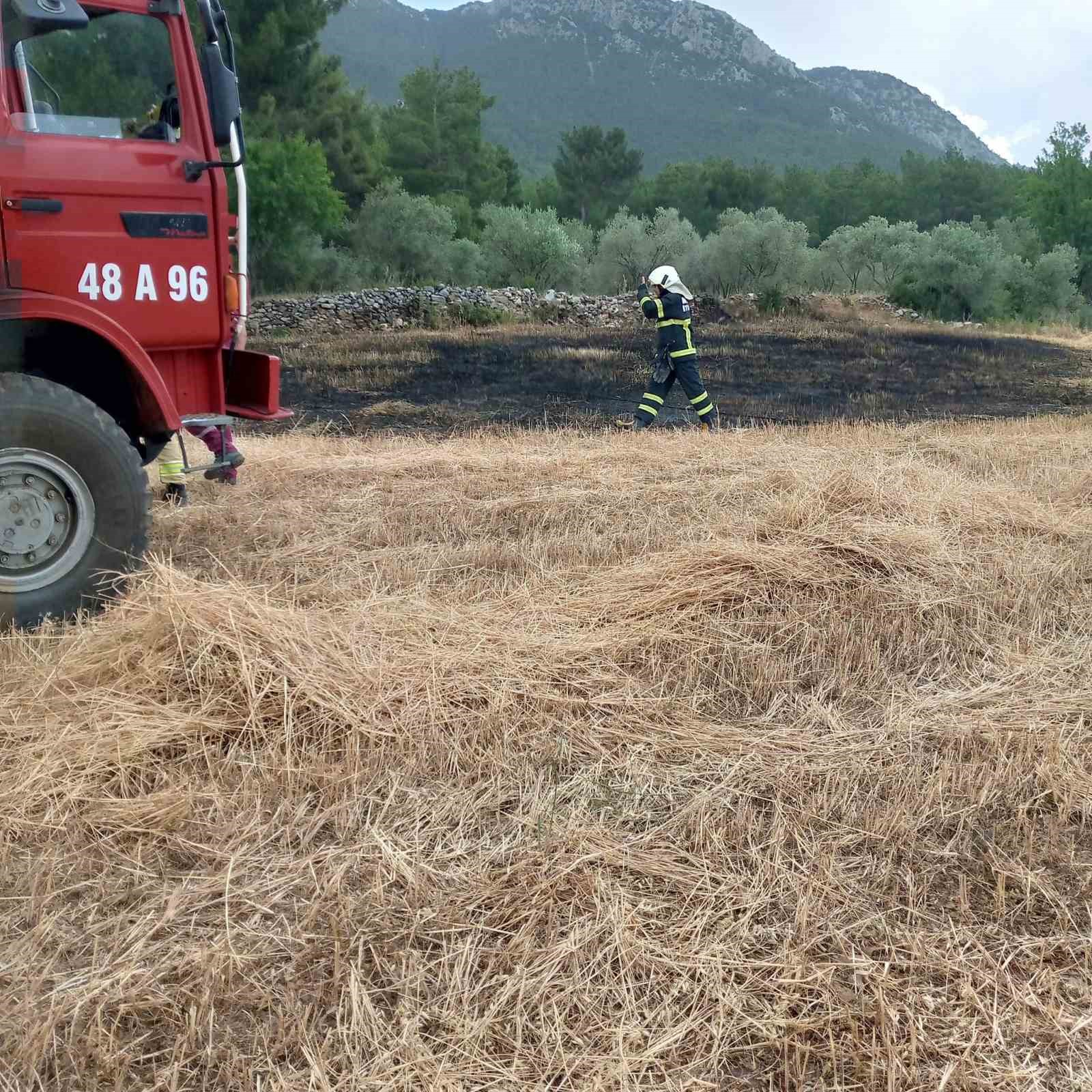 Menteşe’de tarlada çıkan ot yangın korkuttu
