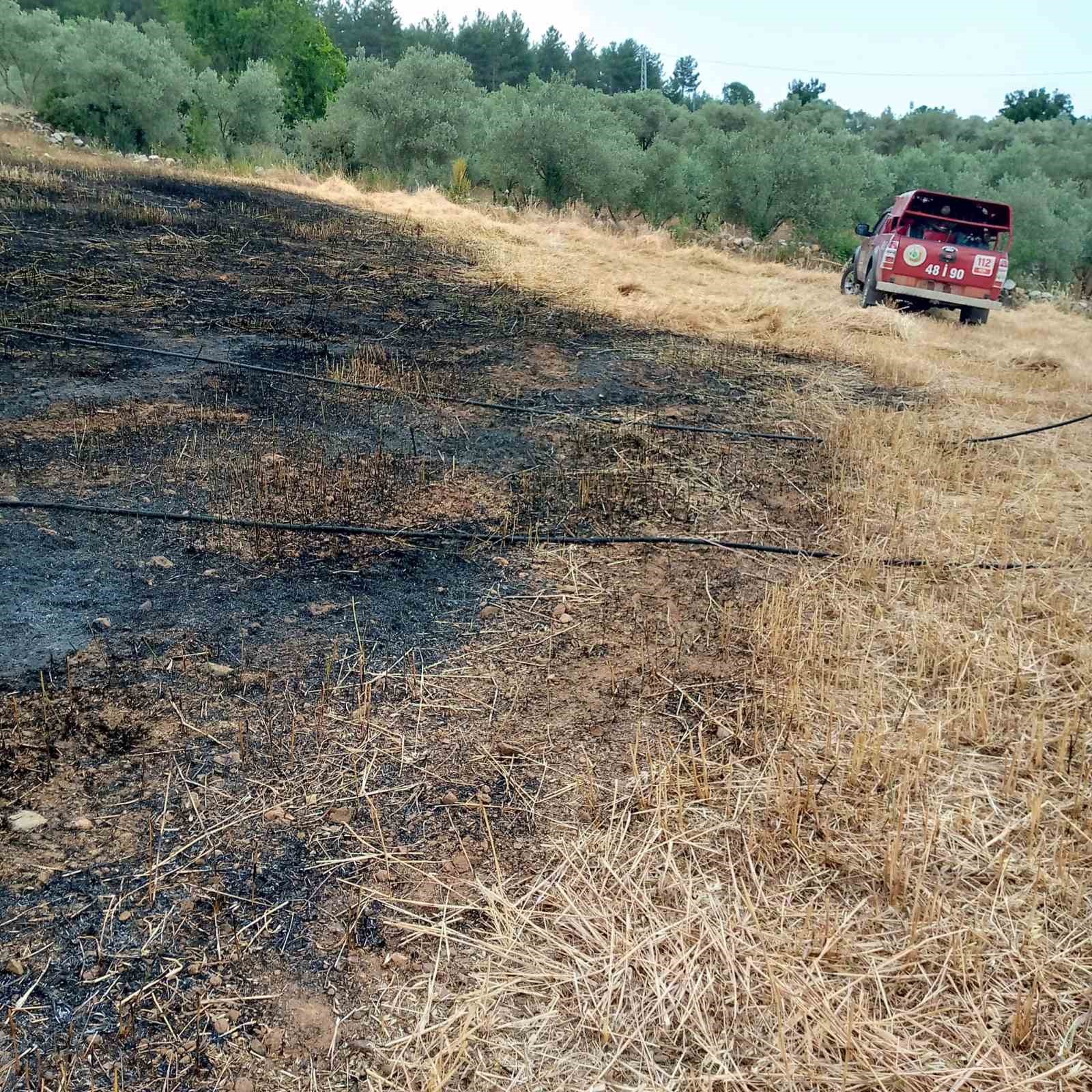 Menteşe’de tarlada çıkan ot yangın korkuttu
