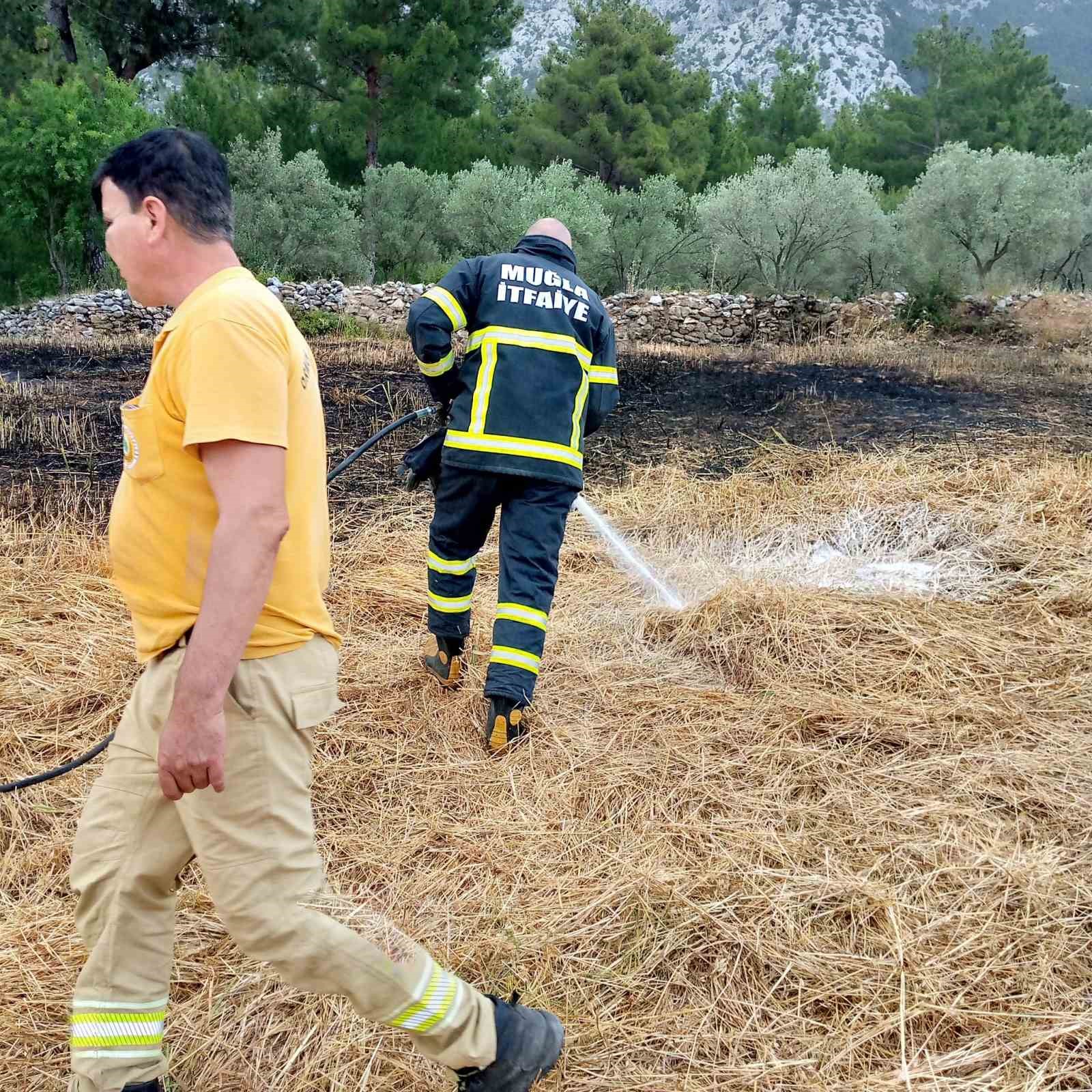 Menteşe’de tarlada çıkan ot yangın korkuttu
