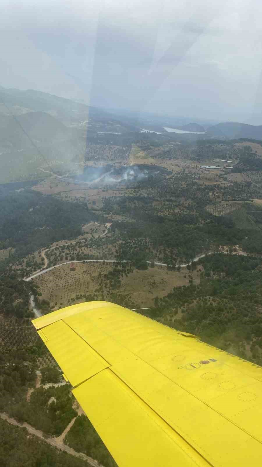 Balıkesir’de orman yangını
