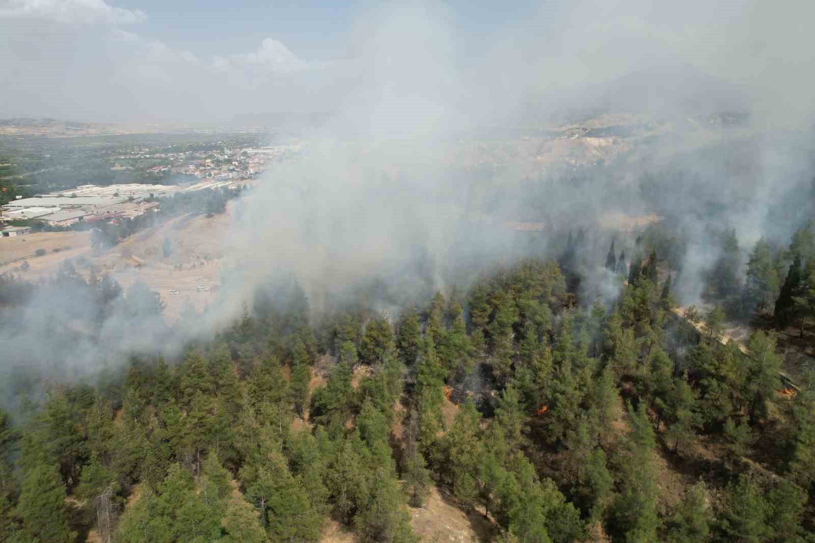 Denizli’de yerleşim yerlerine yakın bölgede orman yangını çıktı
