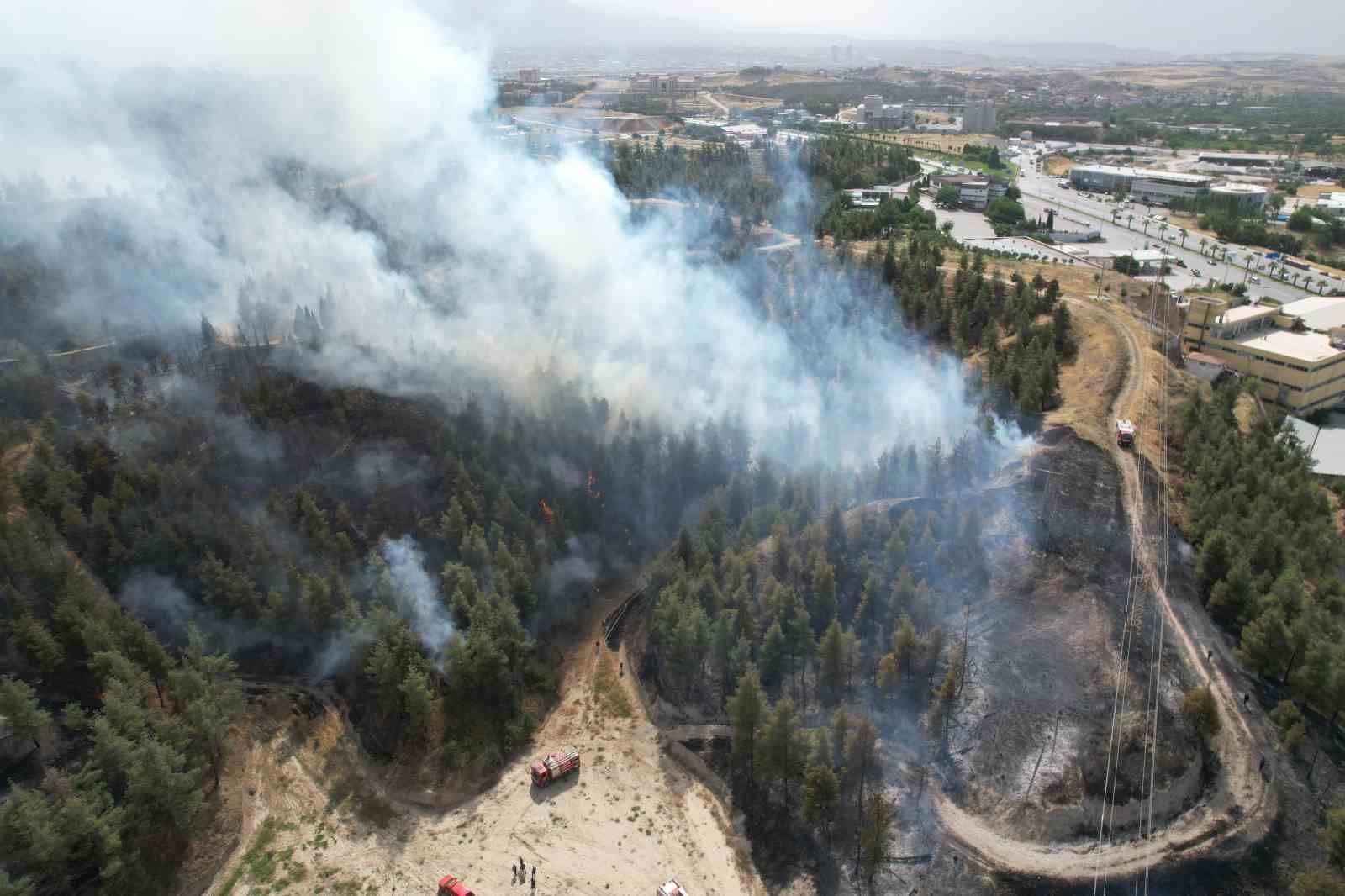 Denizli’de yerleşim yerlerine yakın bölgede orman yangını çıktı
