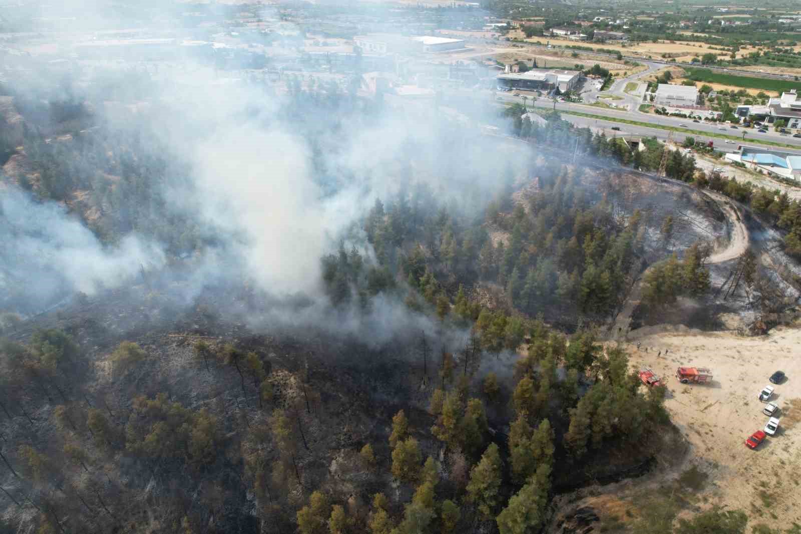 Denizli’de yerleşim yerlerine yakın bölgede orman yangını çıktı
