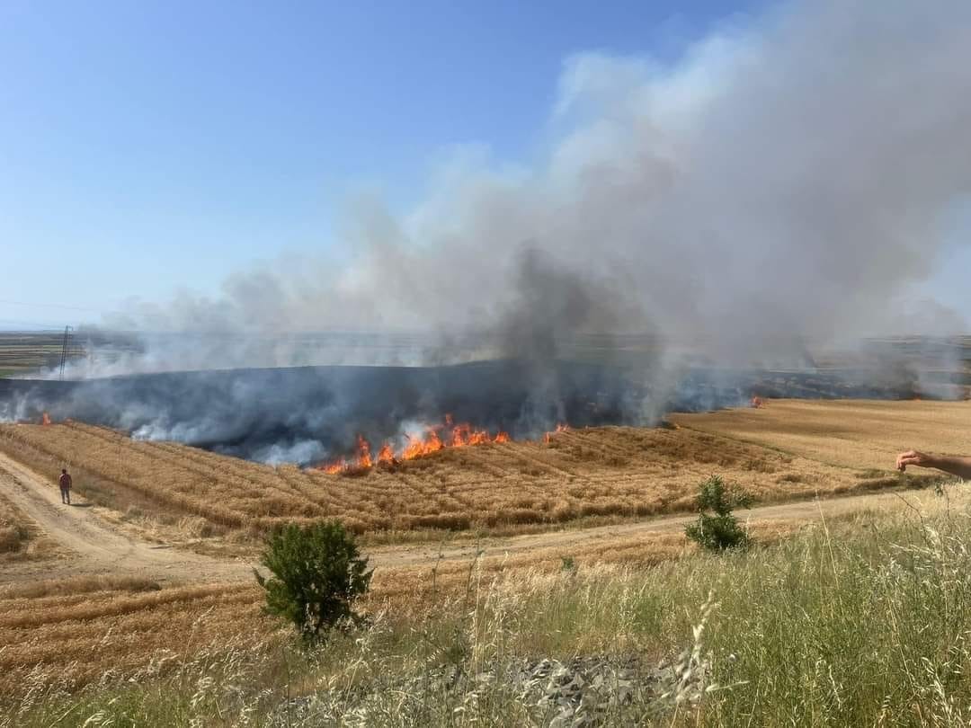 İpsala’da bir gün arayla 130 dönüm buğday ile 250 ot balyası yandı
