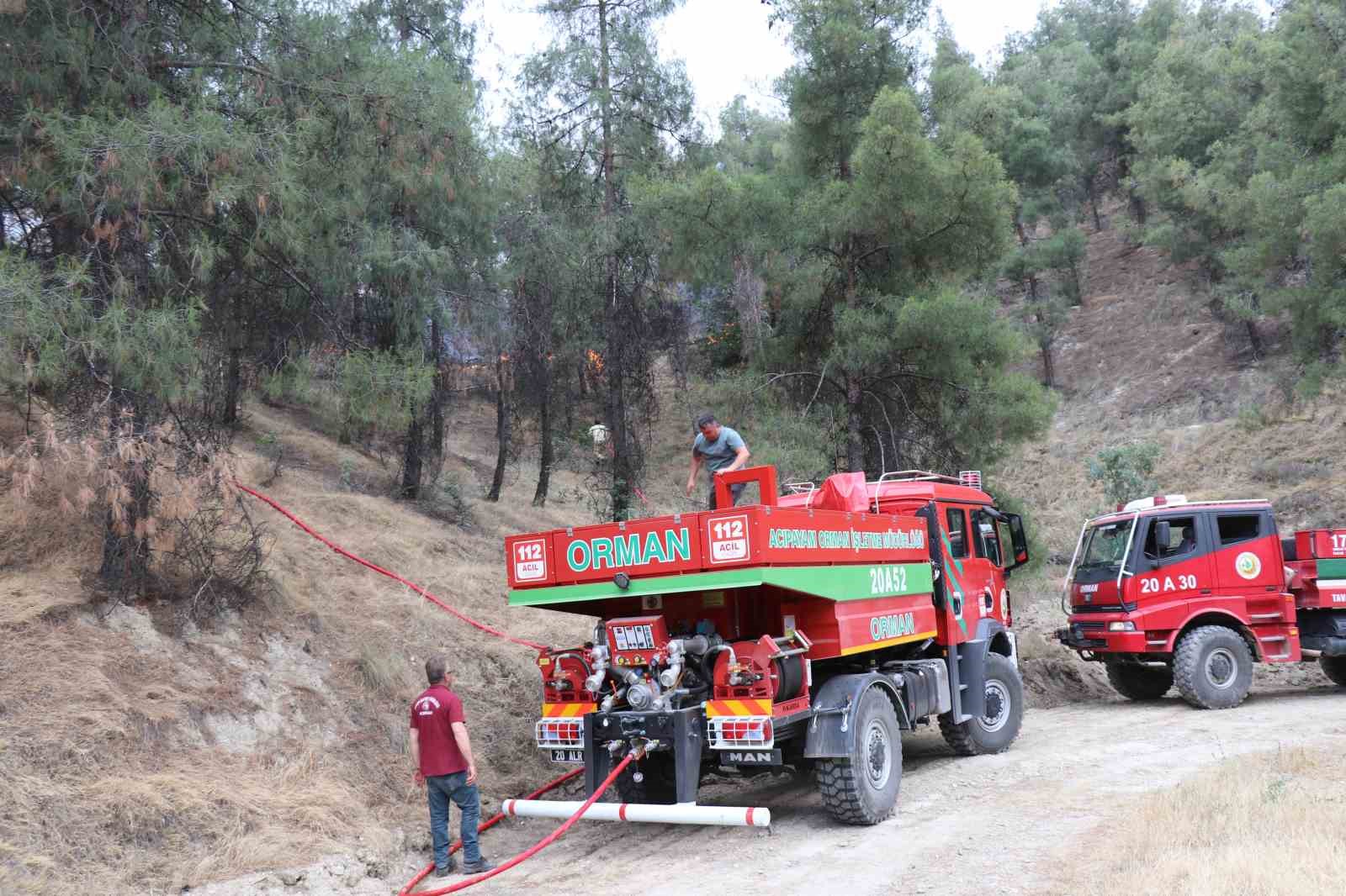 Denizli’deki orman yangınına  havadan ve karadan müdahale ediliyor
