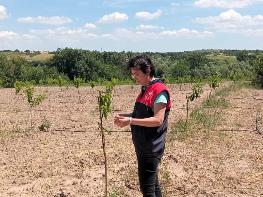 Babaeski’de şeftali bahçelerine kontrol
