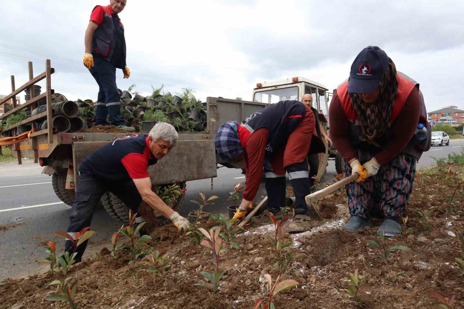 Düzce’nin dört bir yanı çiçeklendiriliyor
