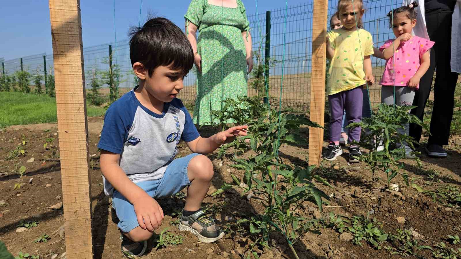 Öğrenciler doğayı ve sebzeleri tanıyor
