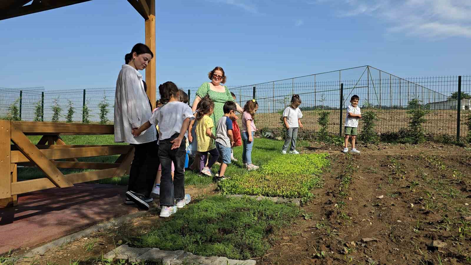 Öğrenciler doğayı ve sebzeleri tanıyor
