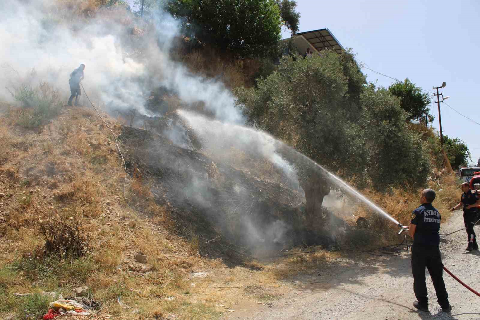 İtfaiyenin hızlı müdahalesi alevlerin antik kente ulaşmasını önledi
