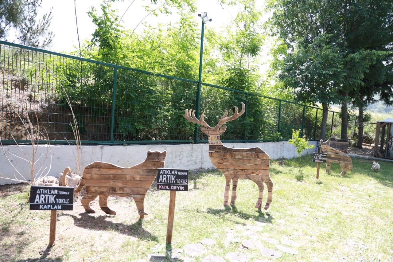 Tabiat okulunda Çevre Haftası etkinlikleri
