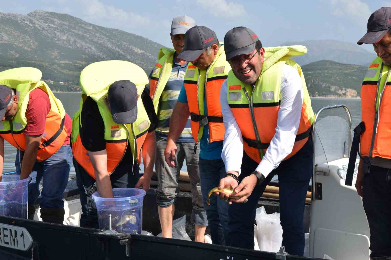 Eğirdir Gölü’ne 5 bin sazan balığı bırakıldı
