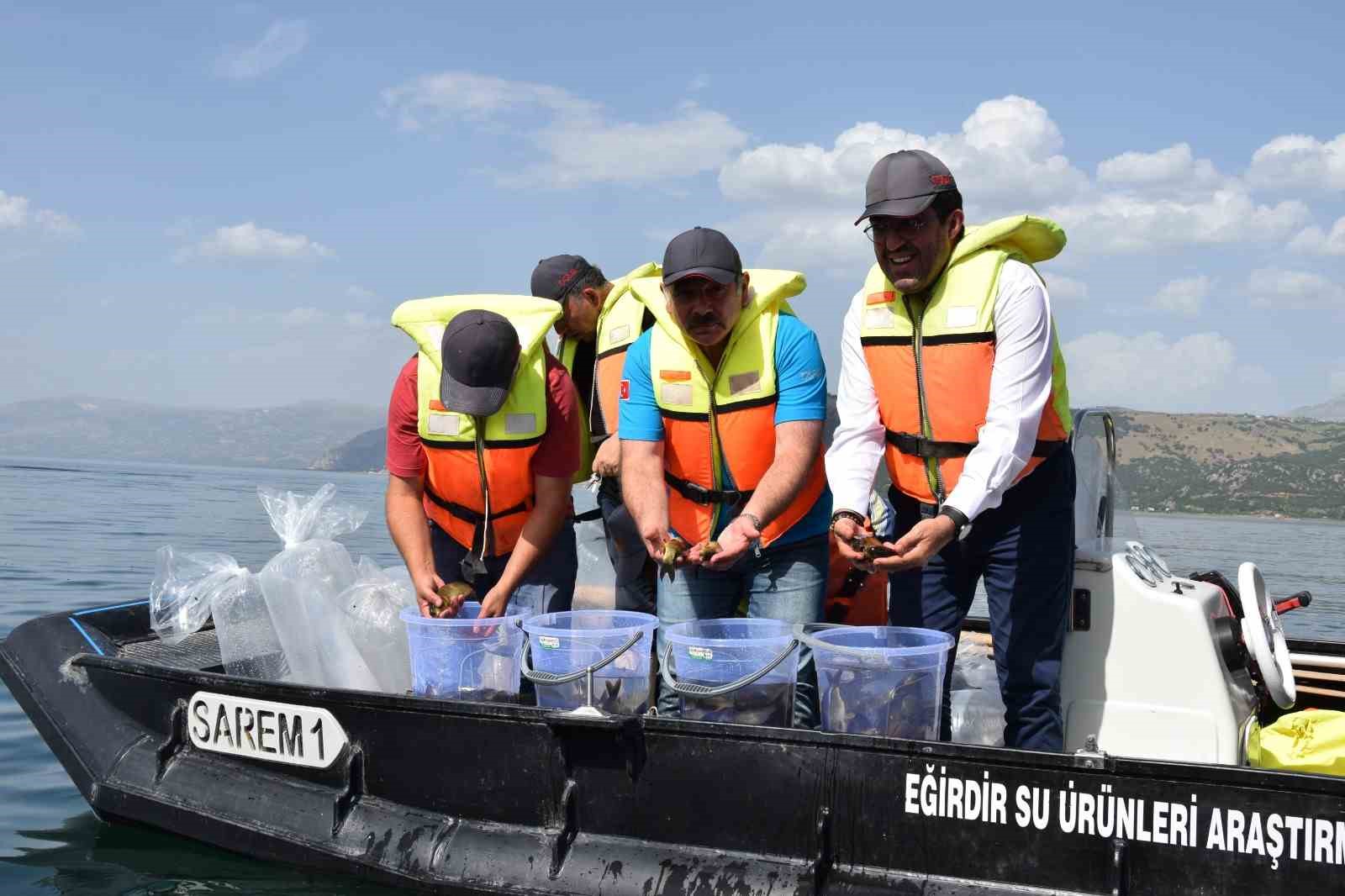 Eğirdir Gölü’ne 5 bin sazan balığı bırakıldı
