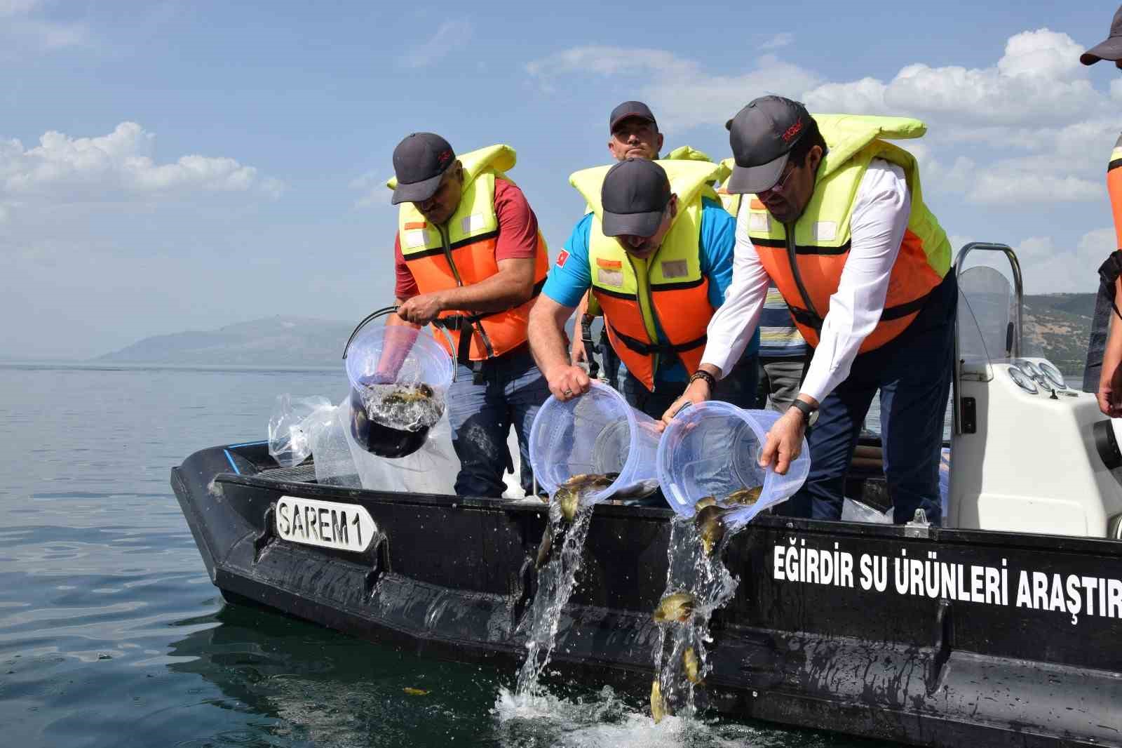 Eğirdir Gölü’ne 5 bin sazan balığı bırakıldı
