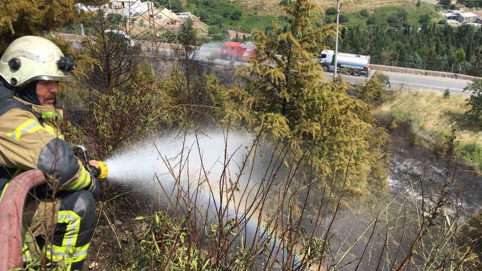 Kocaeli’de orman yangını: Çam ağaçları yandı
