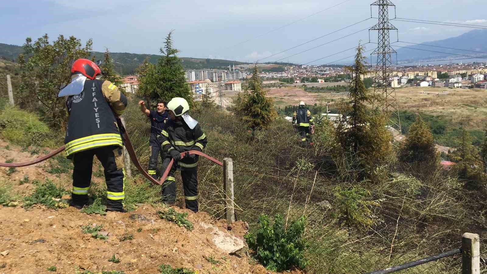 Kocaeli’de orman yangını: Çam ağaçları yandı
