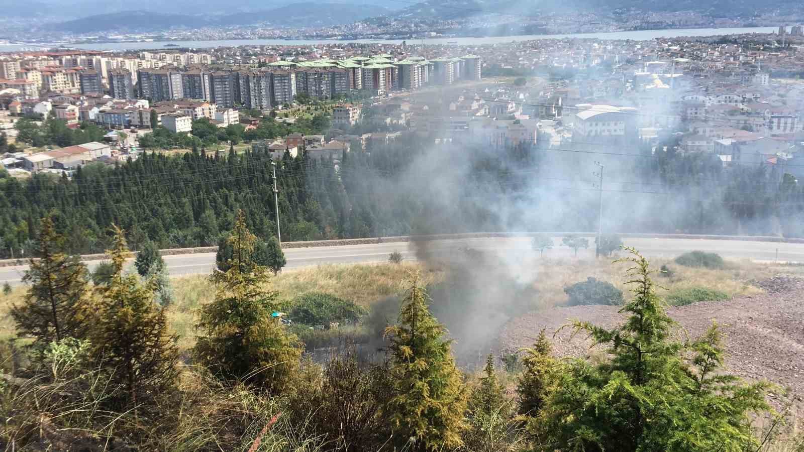 Kocaeli’de orman yangını: Çam ağaçları yandı
