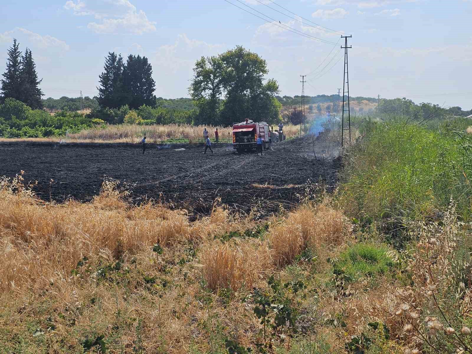 Gaziantep’te 10 dönüm buğday tarlası küle döndü
