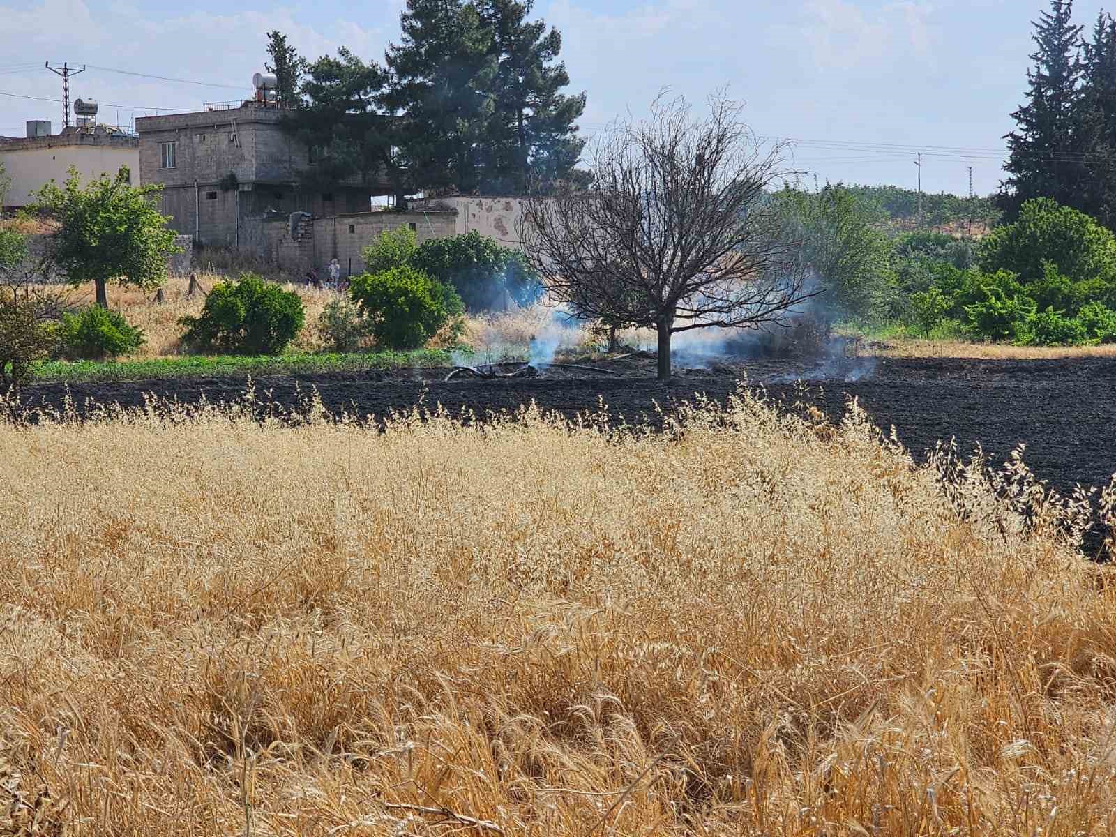 Gaziantep’te 10 dönüm buğday tarlası küle döndü
