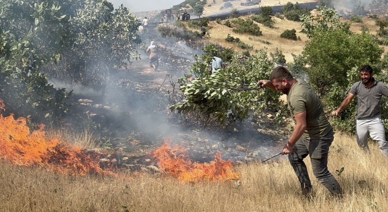 Mazıdağı’nda 20 dönüm ekili arazi küle döndü
