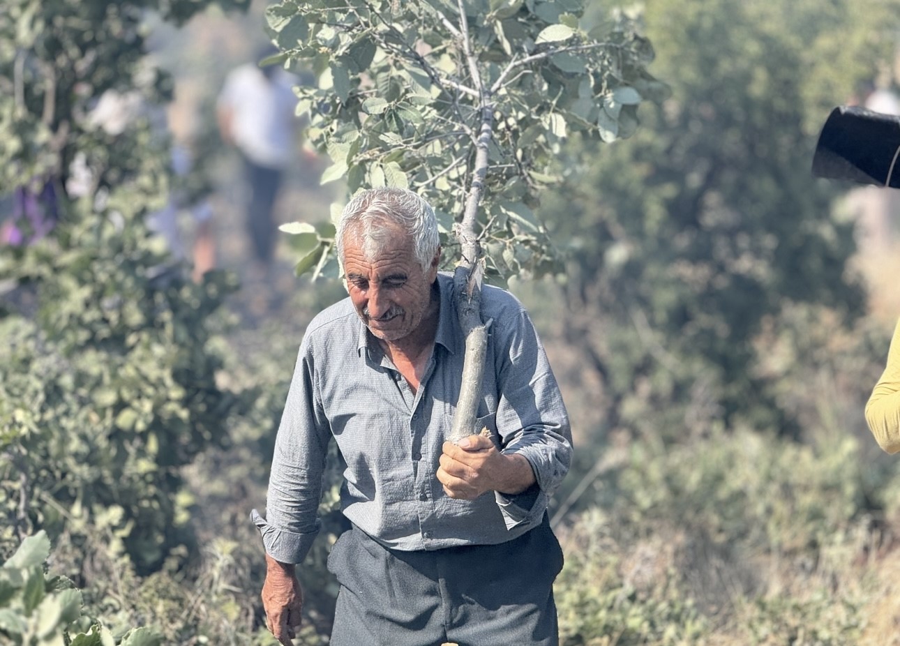 Mazıdağı’nda 20 dönüm ekili arazi küle döndü
