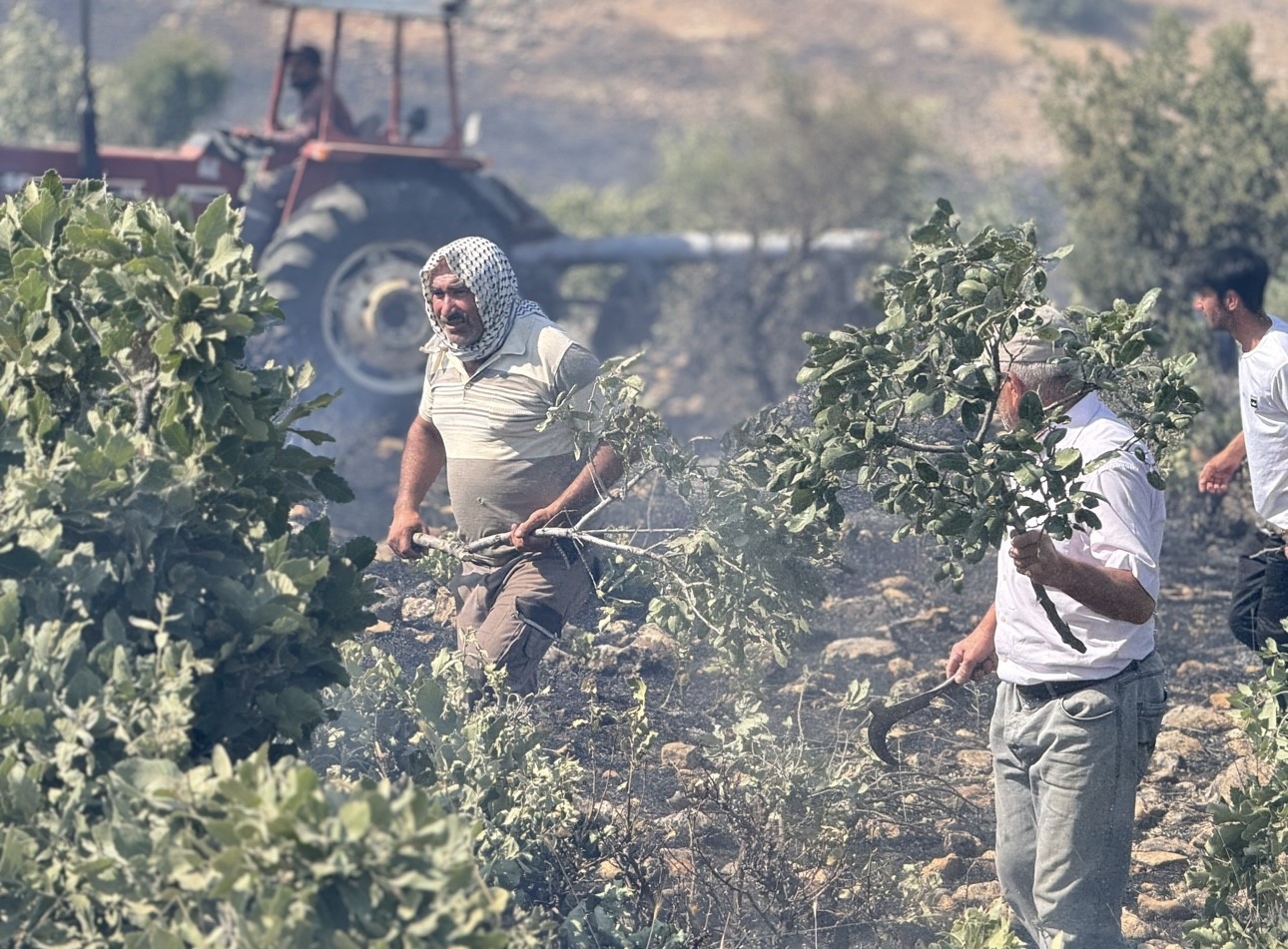 Mazıdağı’nda 20 dönüm ekili arazi küle döndü
