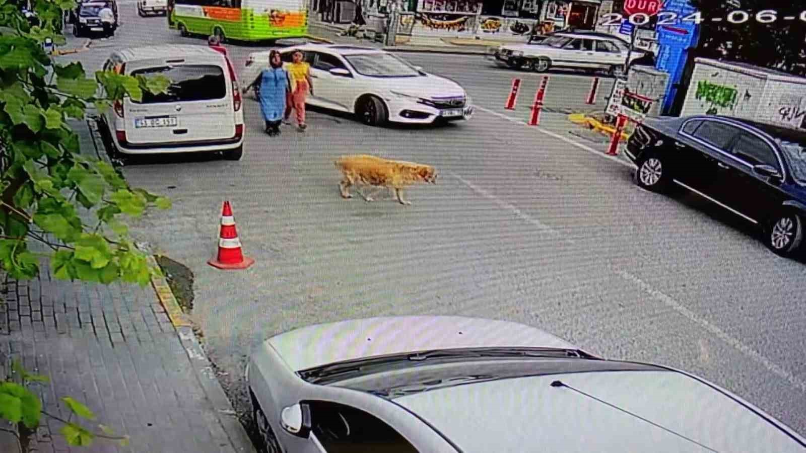 Yolun karşısına geçen köpeğe çarptı, arkasına bile bakmadı
