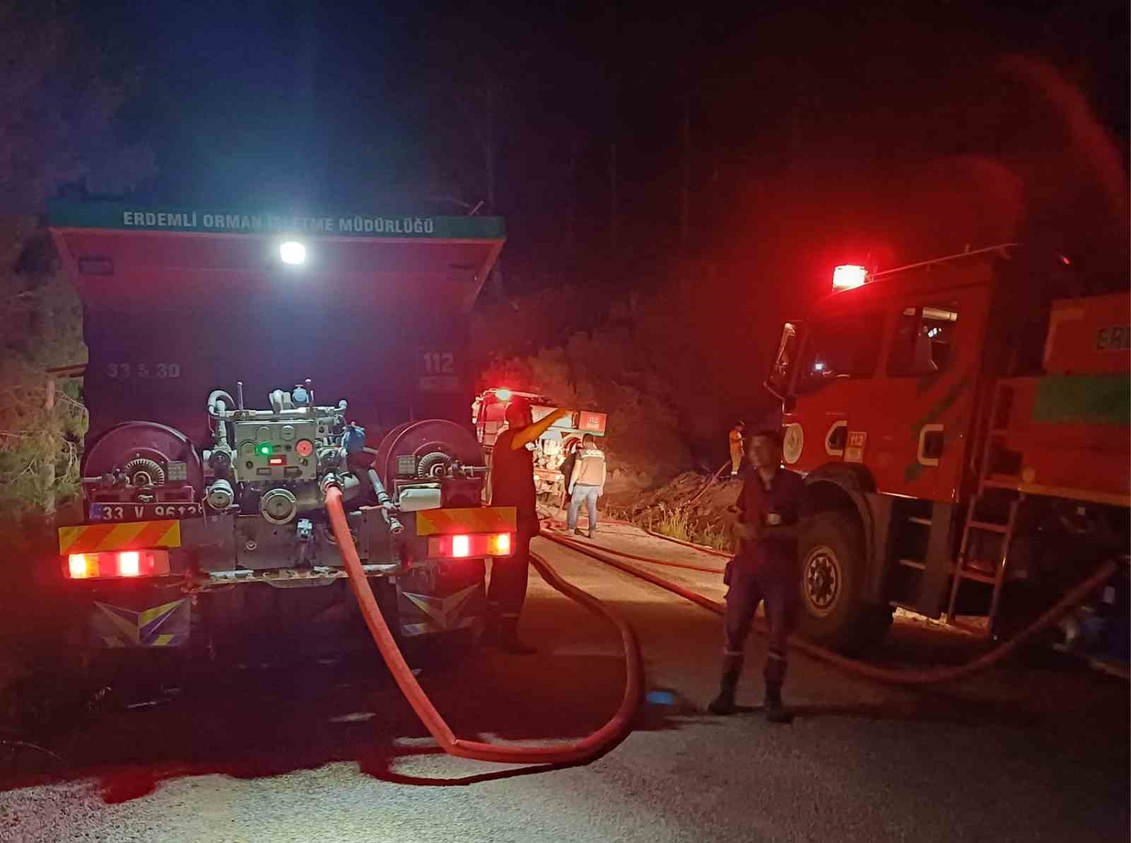 Mersin’de orman yangını: 10 dönüm alan zarar gördü
