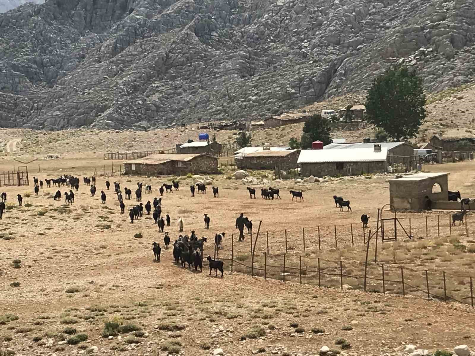 Antalya’da Yörüklerin yayla serüveni başladı
