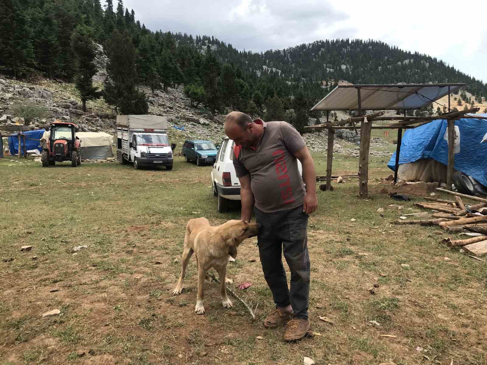 Antalya’da Yörüklerin yayla serüveni başladı
