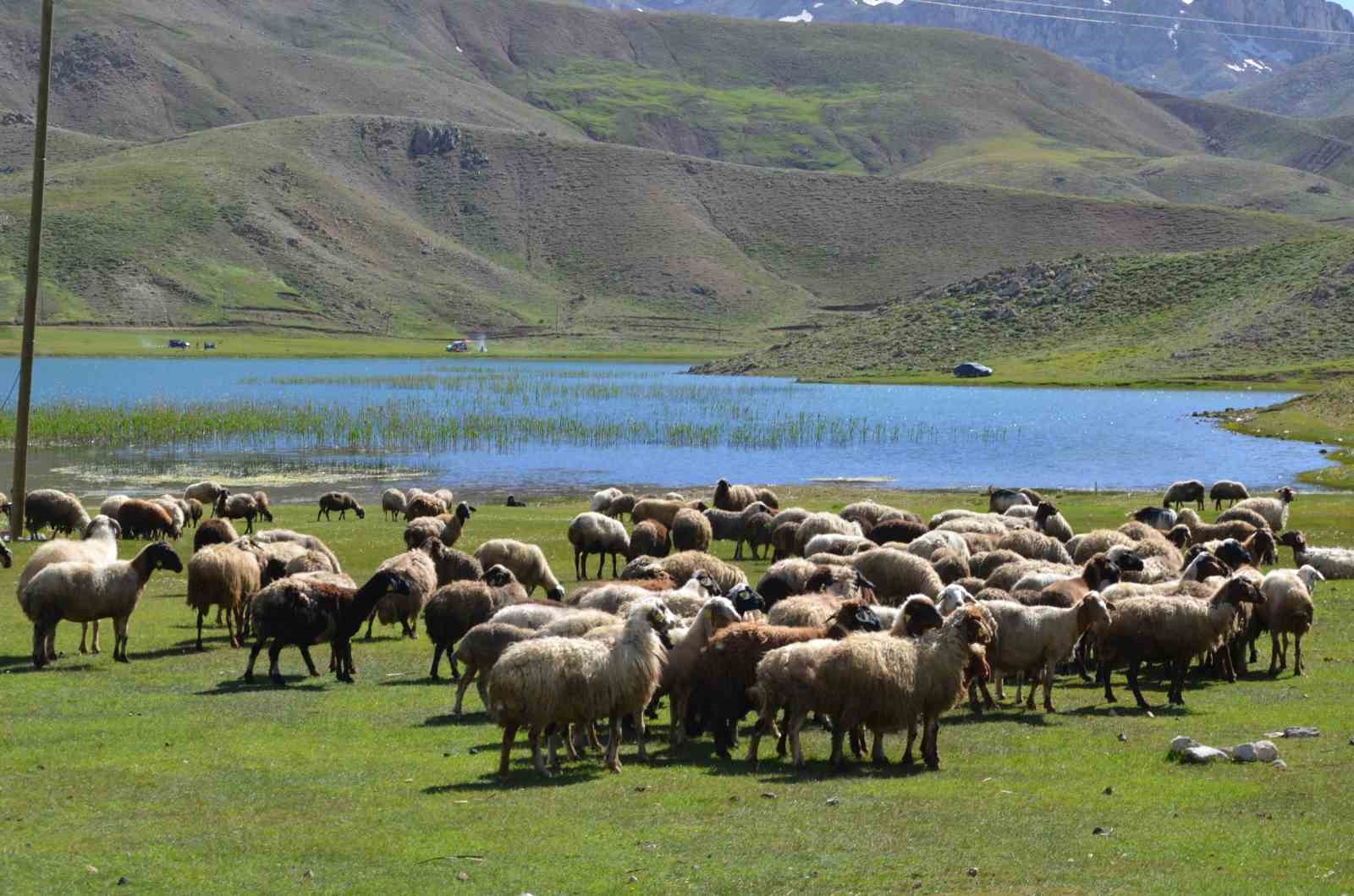 Antalya’da Yörüklerin yayla serüveni başladı
