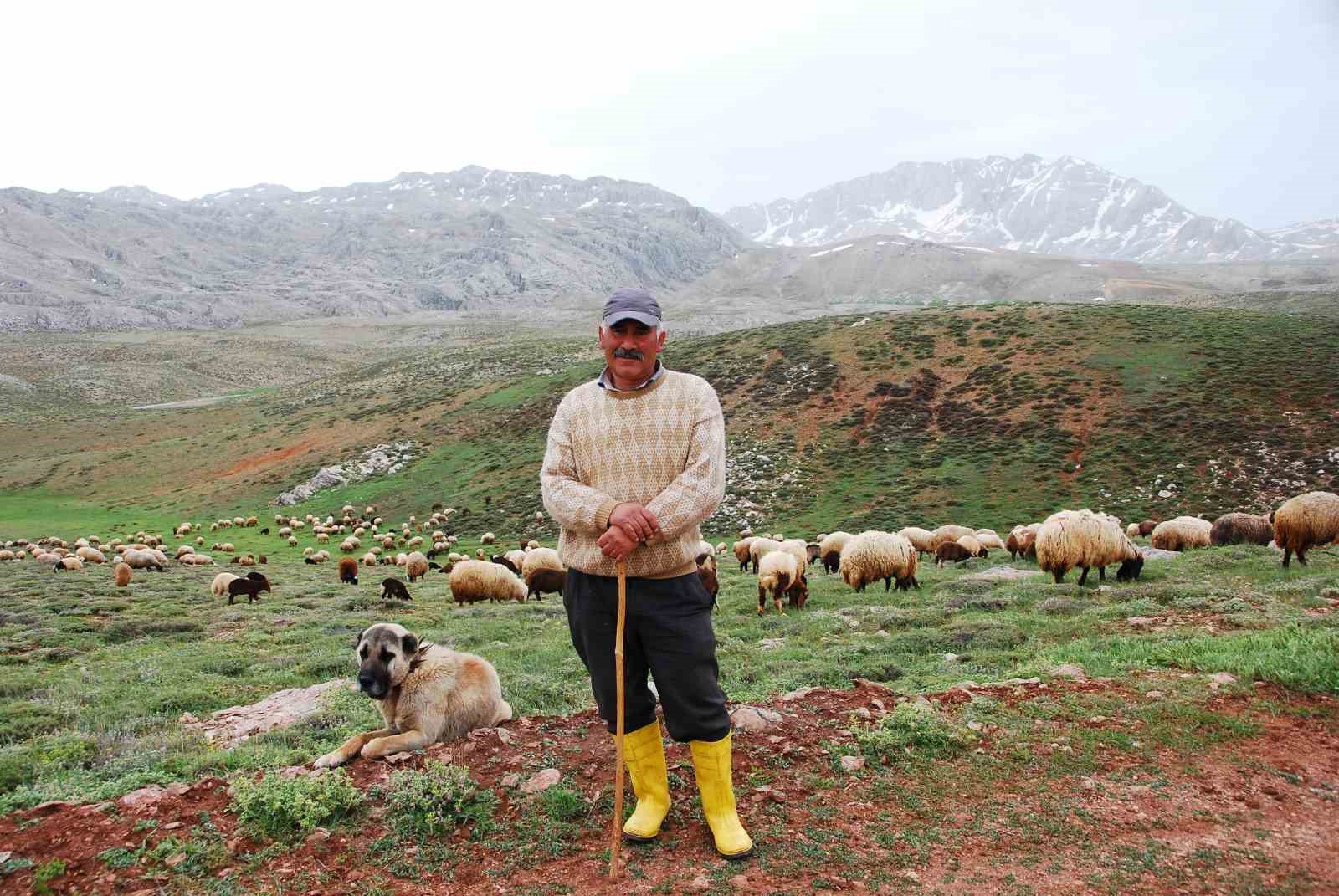 Antalya’da Yörüklerin yayla serüveni başladı
